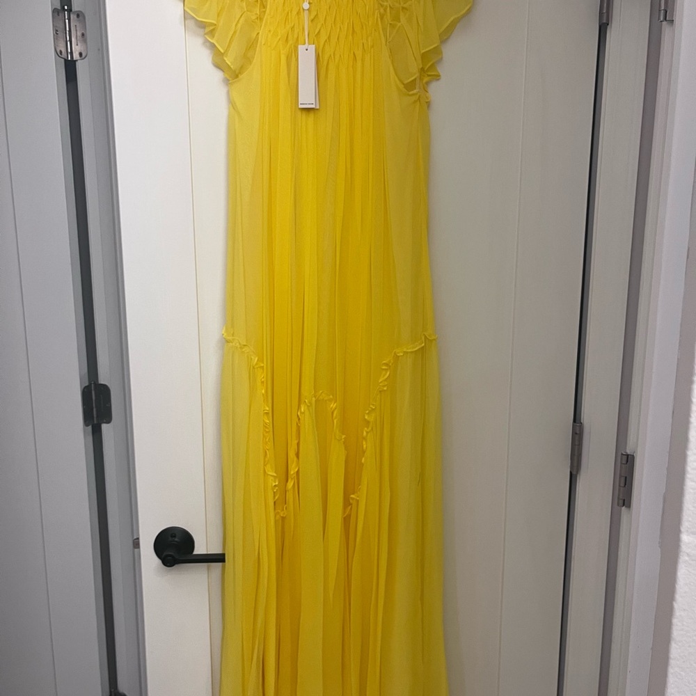 100% silk Maxi Dress with lining, brand new with tag